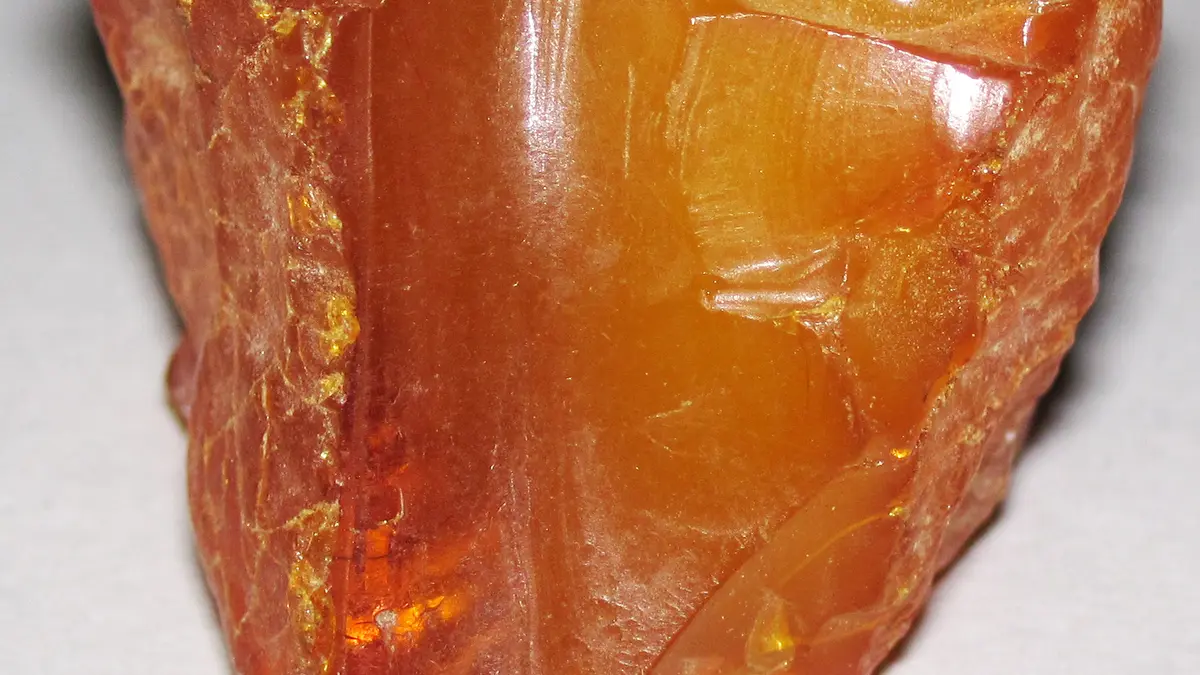 Polished pieces of translucent Baltic amber resin