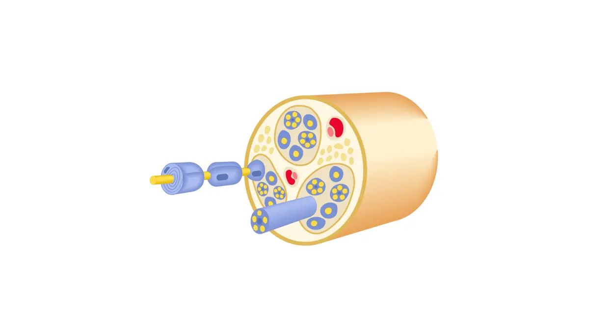 Essential Oils for Neuropathy: Pain Evidence, Limits and Safety