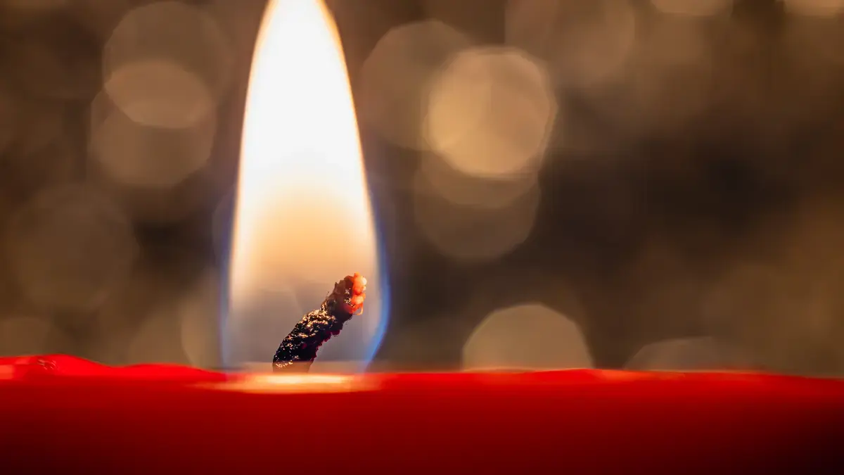 Essential Oils for Burns: First Aid, Evidence and Safety