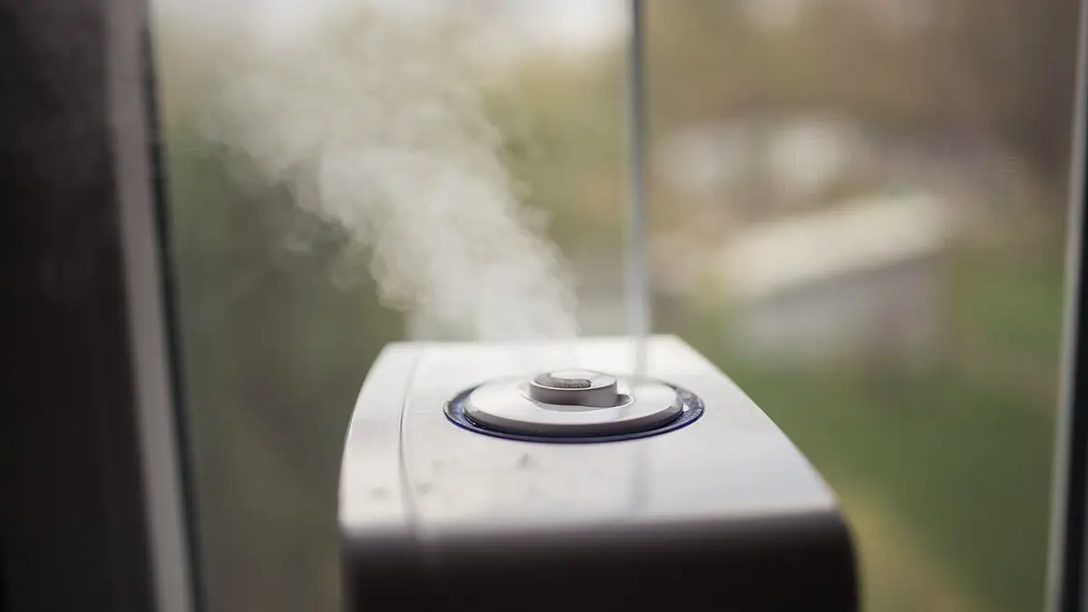 Close view of water mist emerging from a modern humidifier