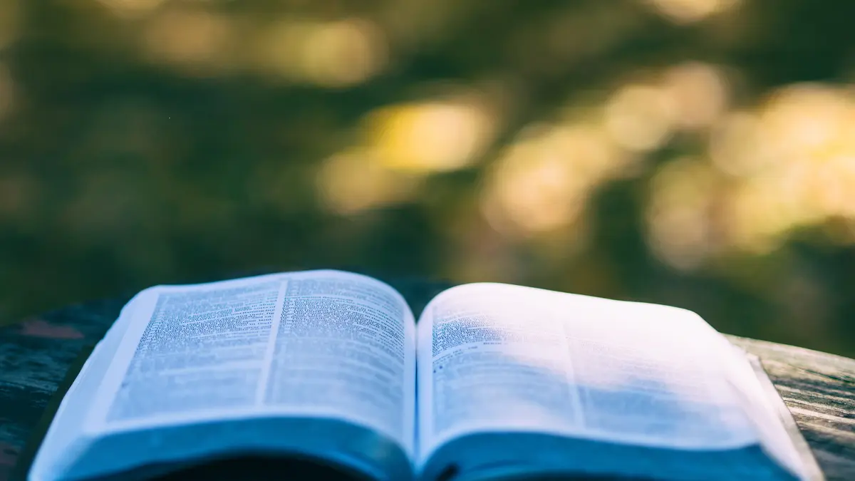 An open book resting outdoors in warm sunlight