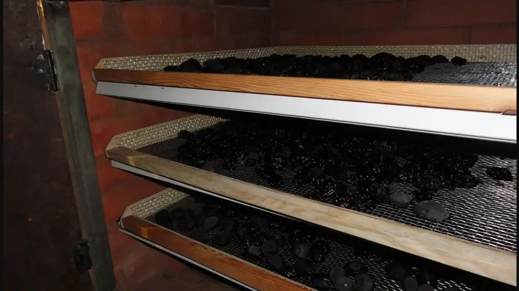 Dried plums or prunes, a high-fibre food; the image is not a substitute for individual constipation advice
