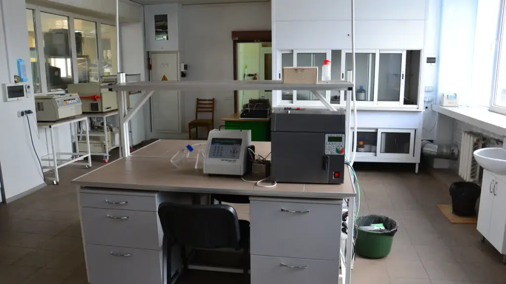 A gas chromatograph and laboratory workstation