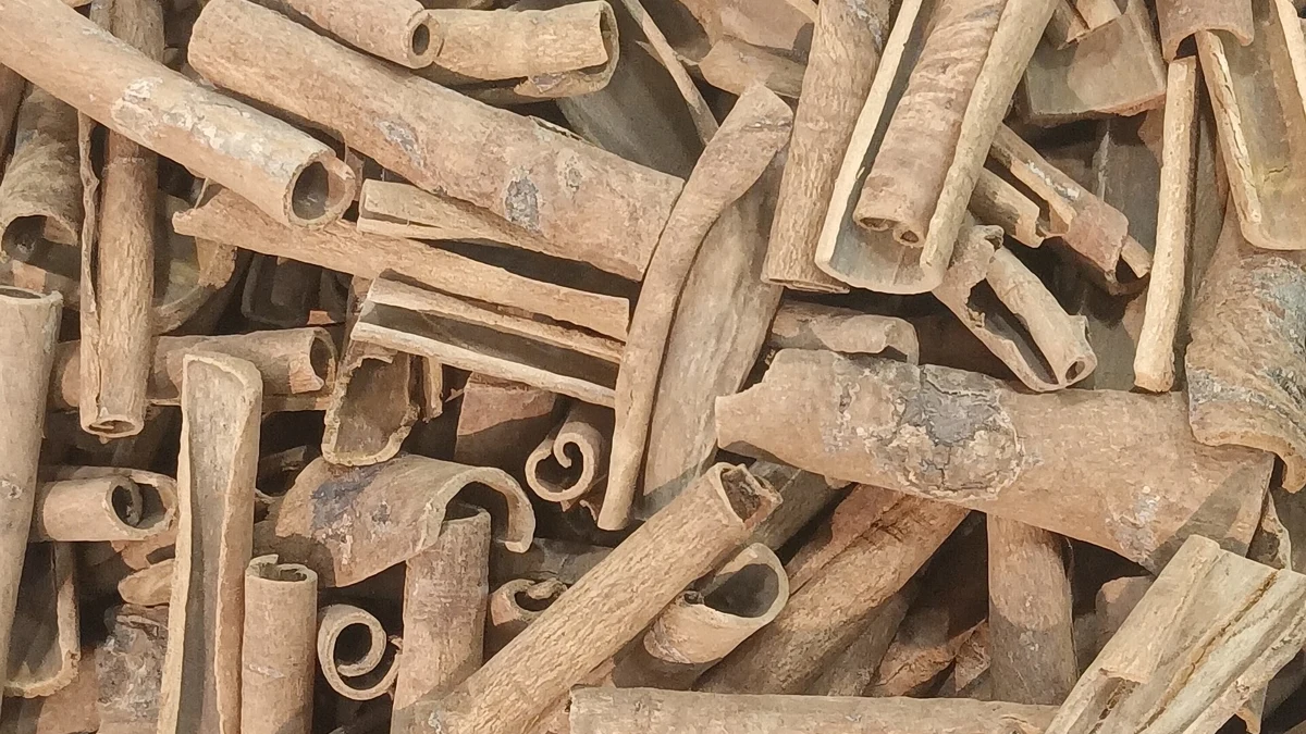 Cinnamon Oil for Lyme Disease: What the Laboratory Studies Can Tell Us