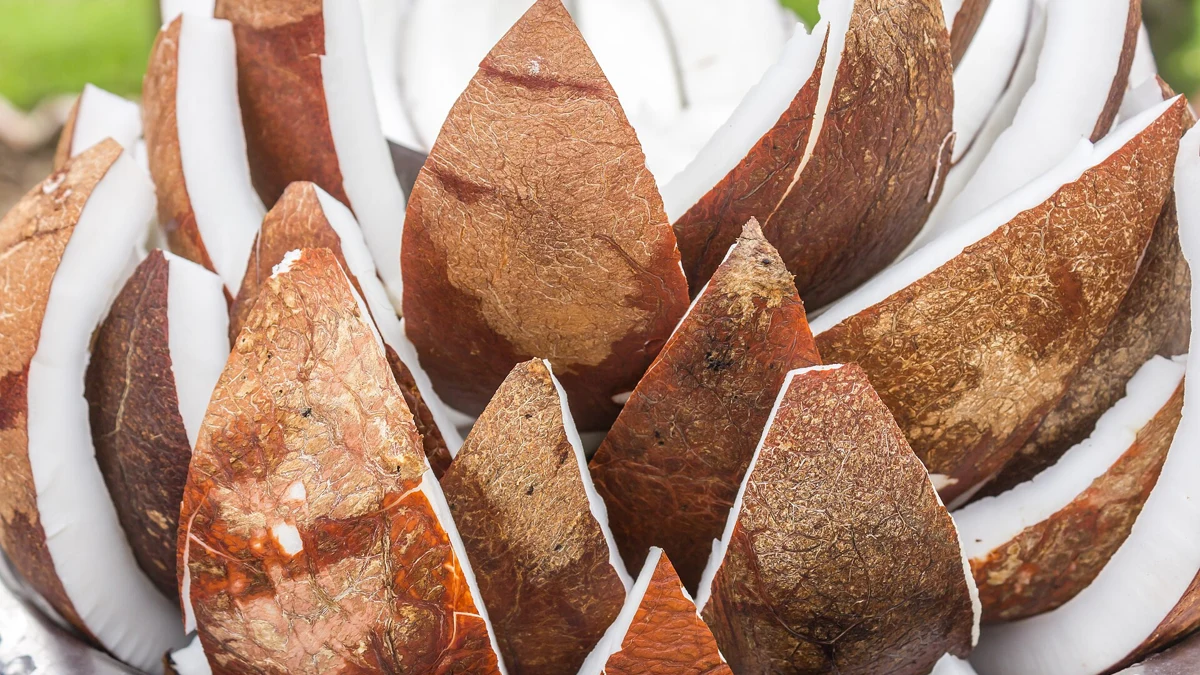 Pieces of fresh coconut with white flesh and brown shells