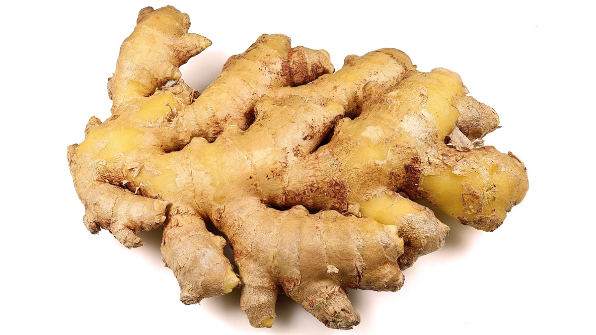 Ginger Oil for Nausea: What Aromatherapy Trials Actually Tested