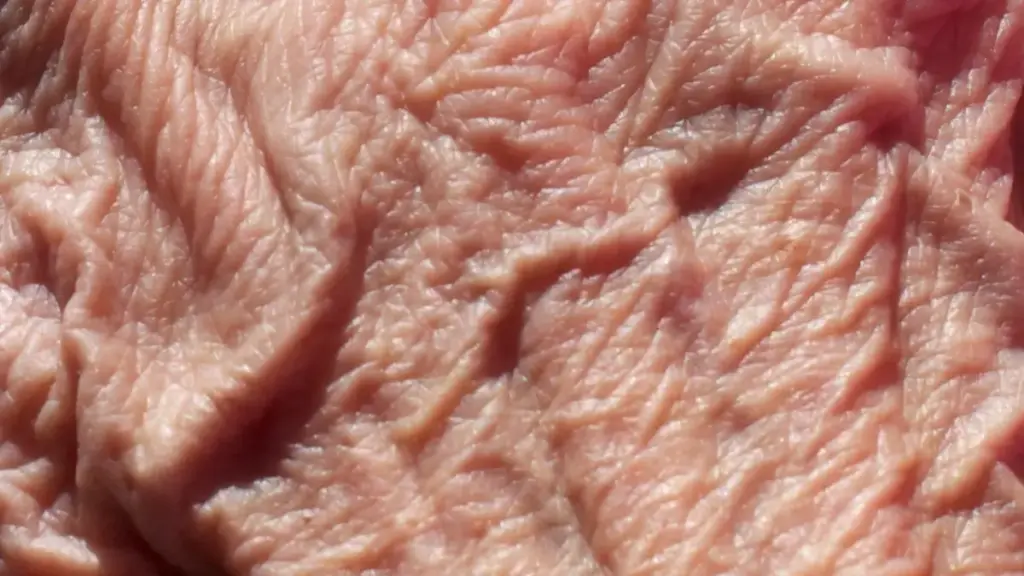 A close view of the skin on an older person’s hand