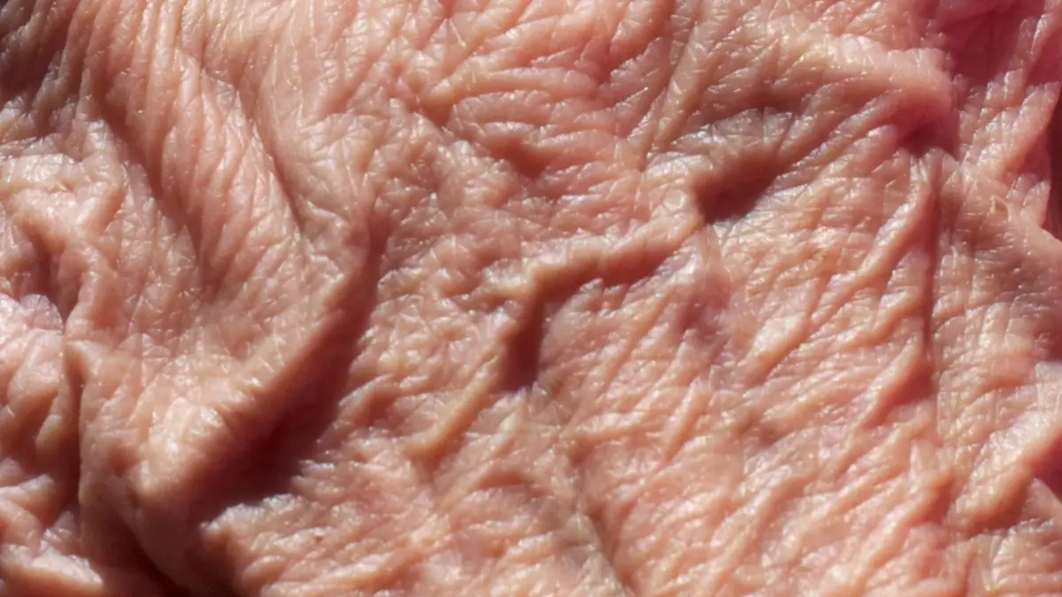 Essential Oils and Wrinkles: What the Evidence Says